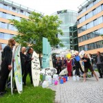 River Surfer Demo für Rettung der Floßlände